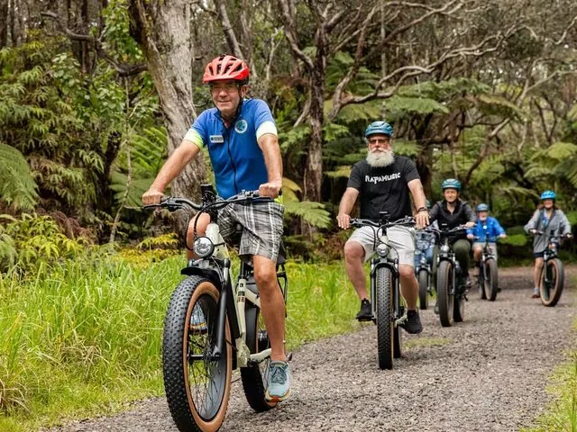 Eine Gruppe von Menschen fährt mit E-Bikes auf einem Weg durch einen Wald.