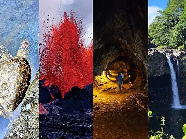 Collage aus Meeresschildkröte, ausbrechendem Vulkan, Lavaröhre und Wasserfall.