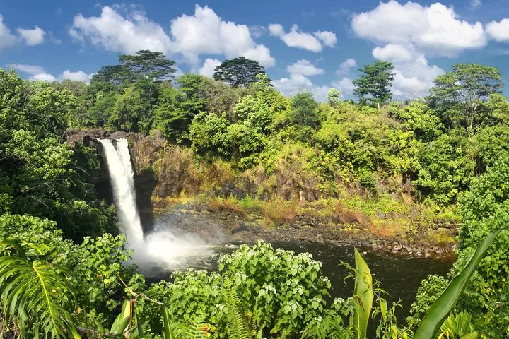 Blick auf die Rainbow Falls, umgeben von üppiger grüner Vegetation auf Hawaii.